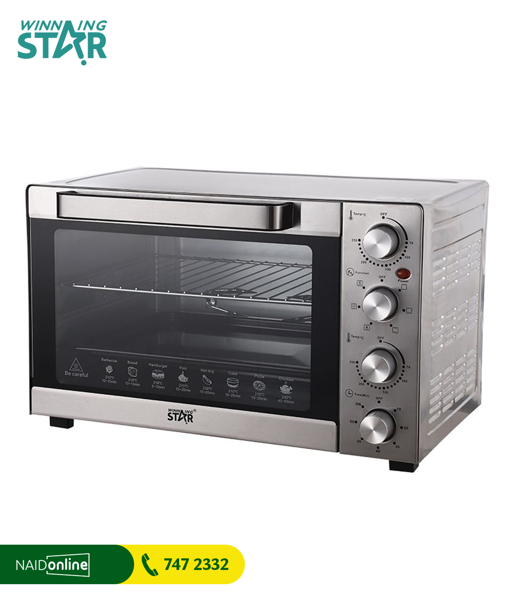 WINNING STAR Portable Two Hot Plate Electric Oven 60L ST-9617